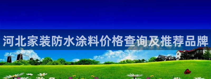 和记ag旗舰：河北家装防水涂料价格查询及推荐品牌