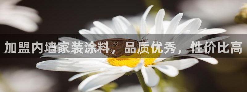 和记官方网站：加盟内墙家装涂料，品质优秀，性价比高